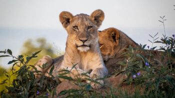 How to Choose the Right Tour for You