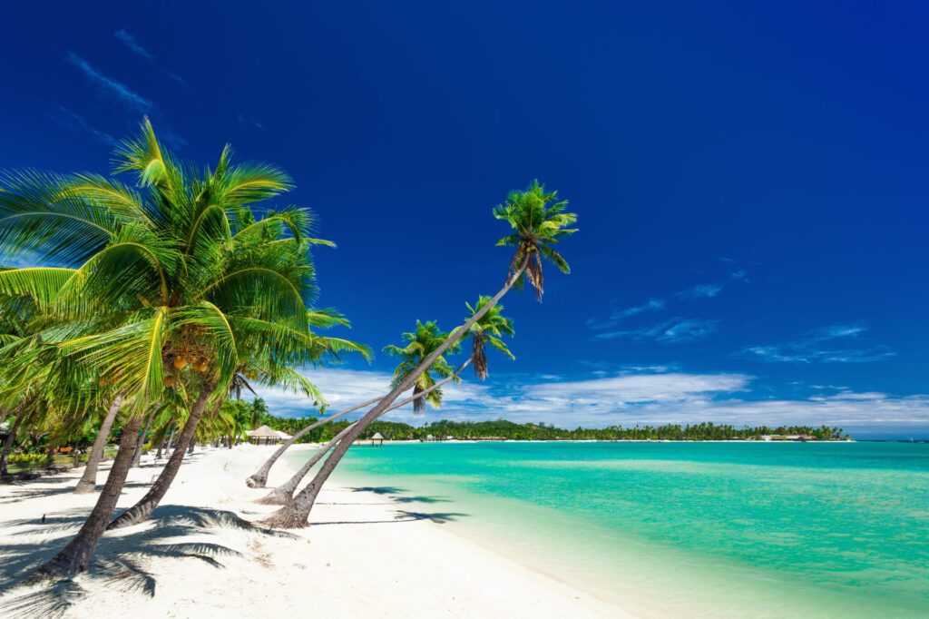 Palm trees over white beach on a a Plantation Island, Fiji, South Pacific