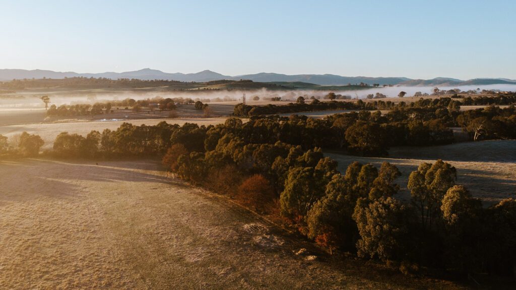 Mansfield Glamping