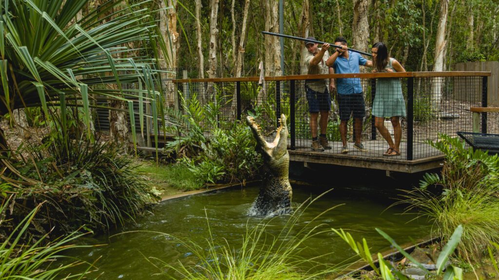 Dream by Luxury Escapes - 5 Great Reasons to Embrace Summer in Cairns & Great Barrier Reef