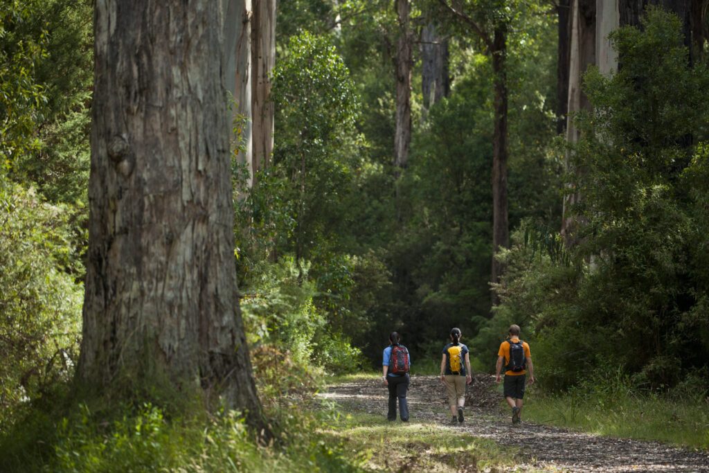 Dream by Luxury Escapes - Australia’s Best Multi-Day Hikes & Where to Stay After