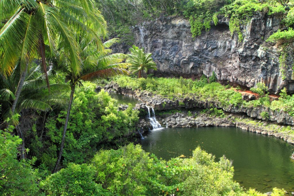 Dream by Luxury Escapes - 5 Reasons Why Maui is the Mother of Family Holidays