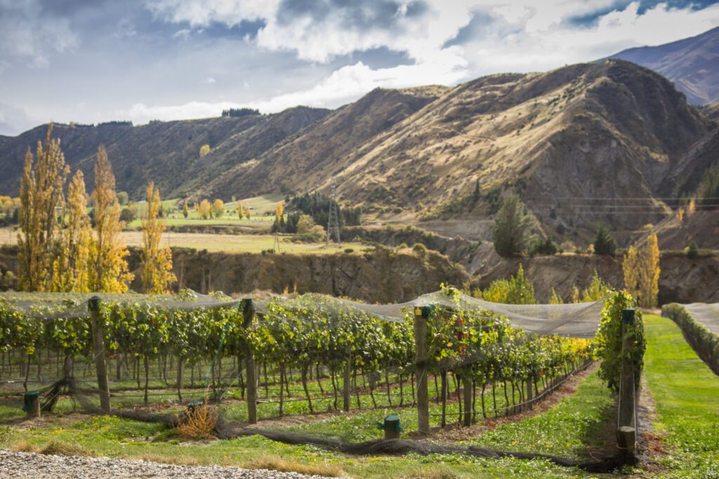 Dream by Luxury Escapes - Things to Do in Queenstown: Where to Eat, Drink, Stay & Play