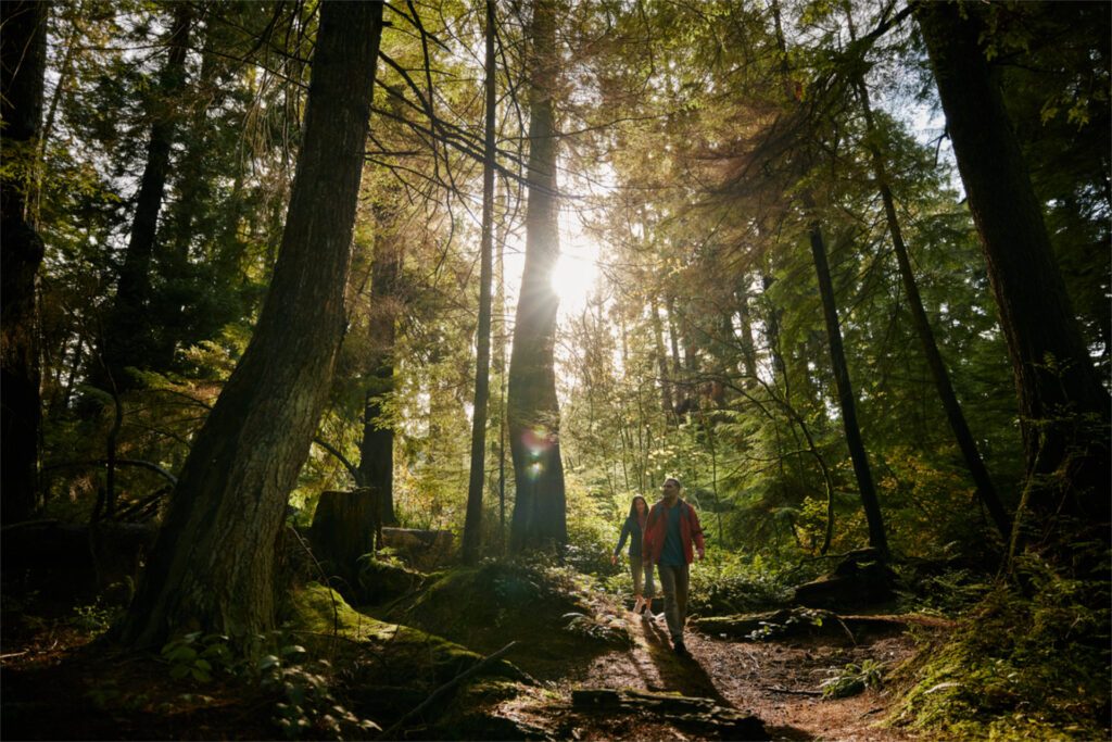 Dream by Luxury Escapes - Get Your Nature Fix in British Columbia: Adventures into Canada’s Wild