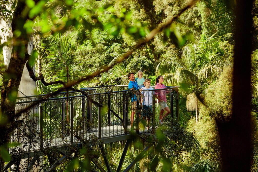 Tamborine Rainforest Skywalk is a fantastic family-friendly activity on the Gold Coast - Luxury Escapes