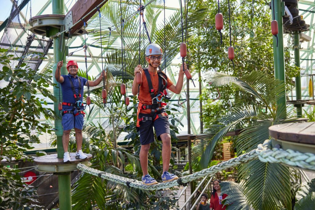 Dream by Luxury Escapes - Tropical Delights: 5 Fun Things to Do in Cairns