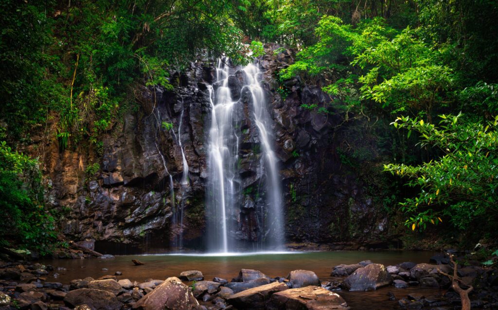 Dream by Luxury Escapes - Tropical Delights: 5 Fun Things to Do in Cairns