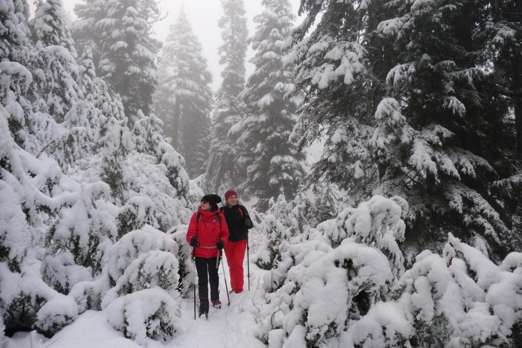 A pair of people in snow gear snow shoeing on Grouse Mountain, one of the many things to experience in Canada during the winter - Luxury Escapes