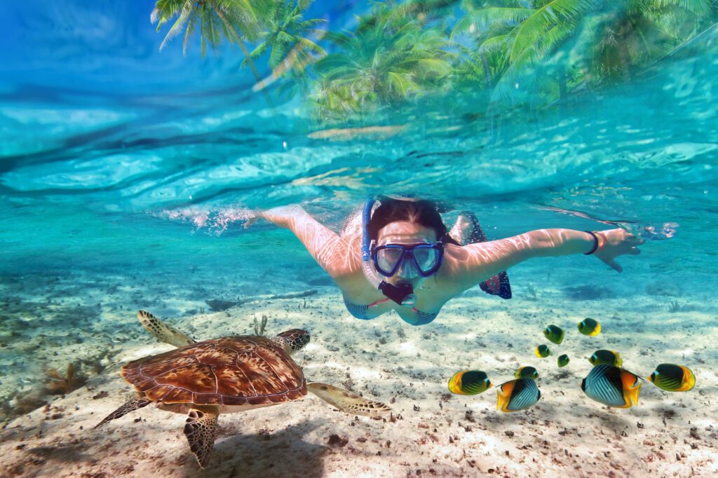 The vibrant coral reefs of Anguilla, one of the best places to stay in the Caribbean - Luxury Escapes