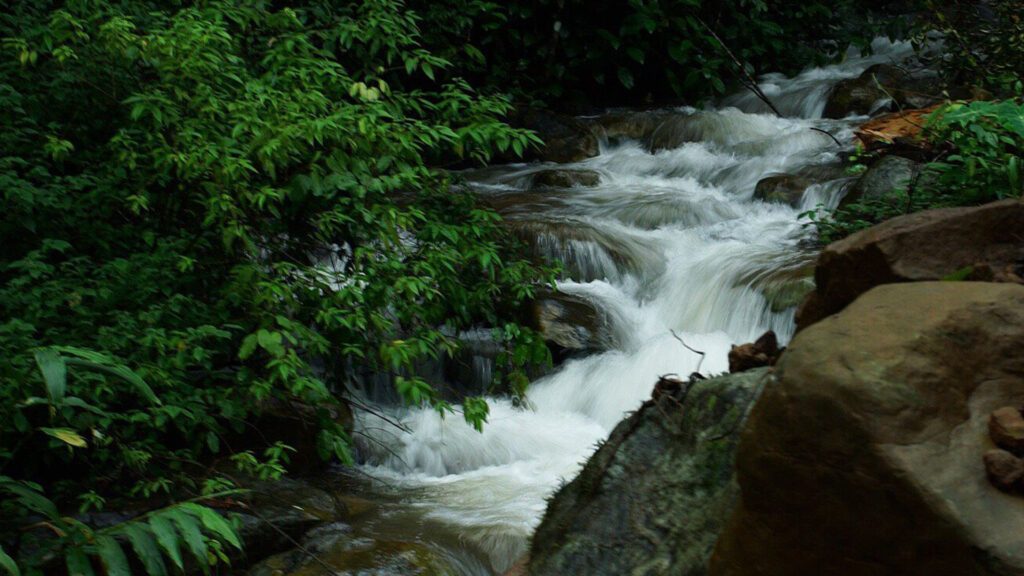 The beautiful surrounds of WelcomHeritage Ayatana make it one of Coorg's most spectacular stays, set among lush forested hills - Luxury Escapes