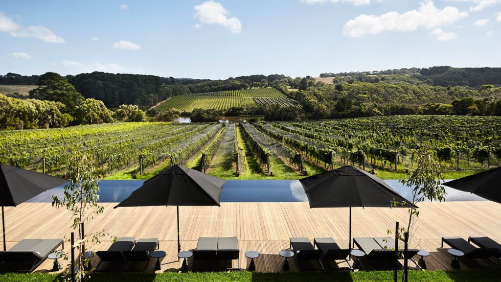 The terraced vineyards of Jackalope, one of Australia's most romantic hotels.