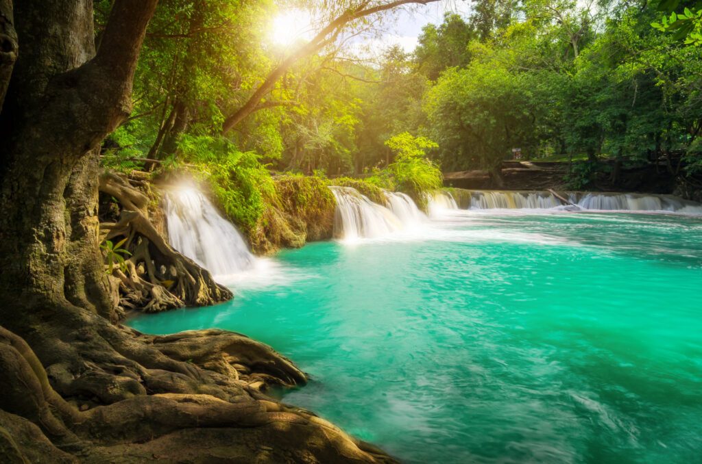 Dream by Luxury Escapes - Jungle Experiences: How to Best Explore Thailand’s Jungles 