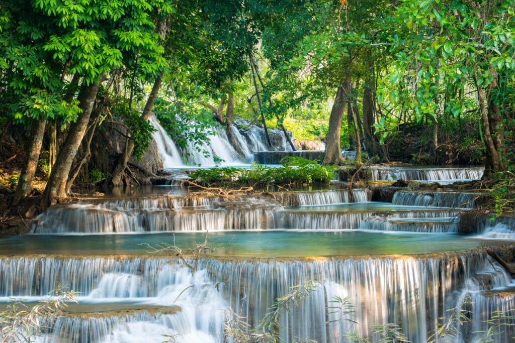 Dream by Luxury Escapes - Jungle Experiences: How to Best Explore Thailand’s Jungles 