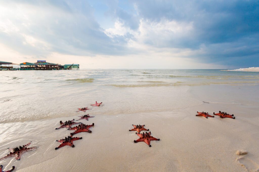 Dream by Luxury Escapes - Scooters, Starfish & Street Food: A Vietnam Travel Guide