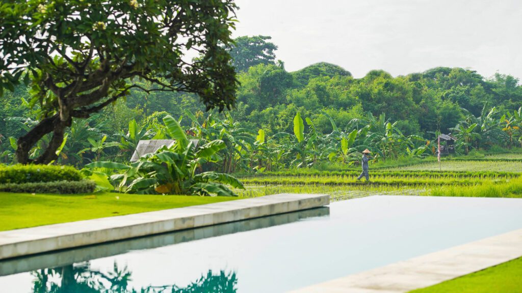 The pool of The Samata by LifestyleRetreats, a hotel with one of Bali's best spas - Luxury Escapes 