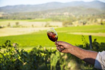 A Taste of Europe in Northern Victoria: Ultimate Winery Experiences