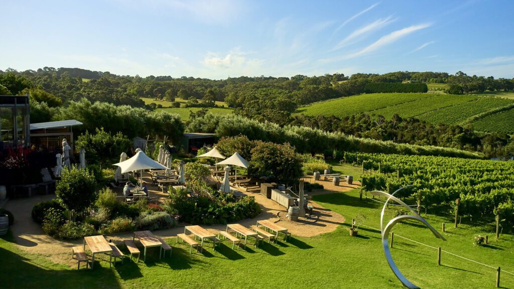 Montalto ultimate winery expereinces victoria|Montalto ultimate winery experiences victoria