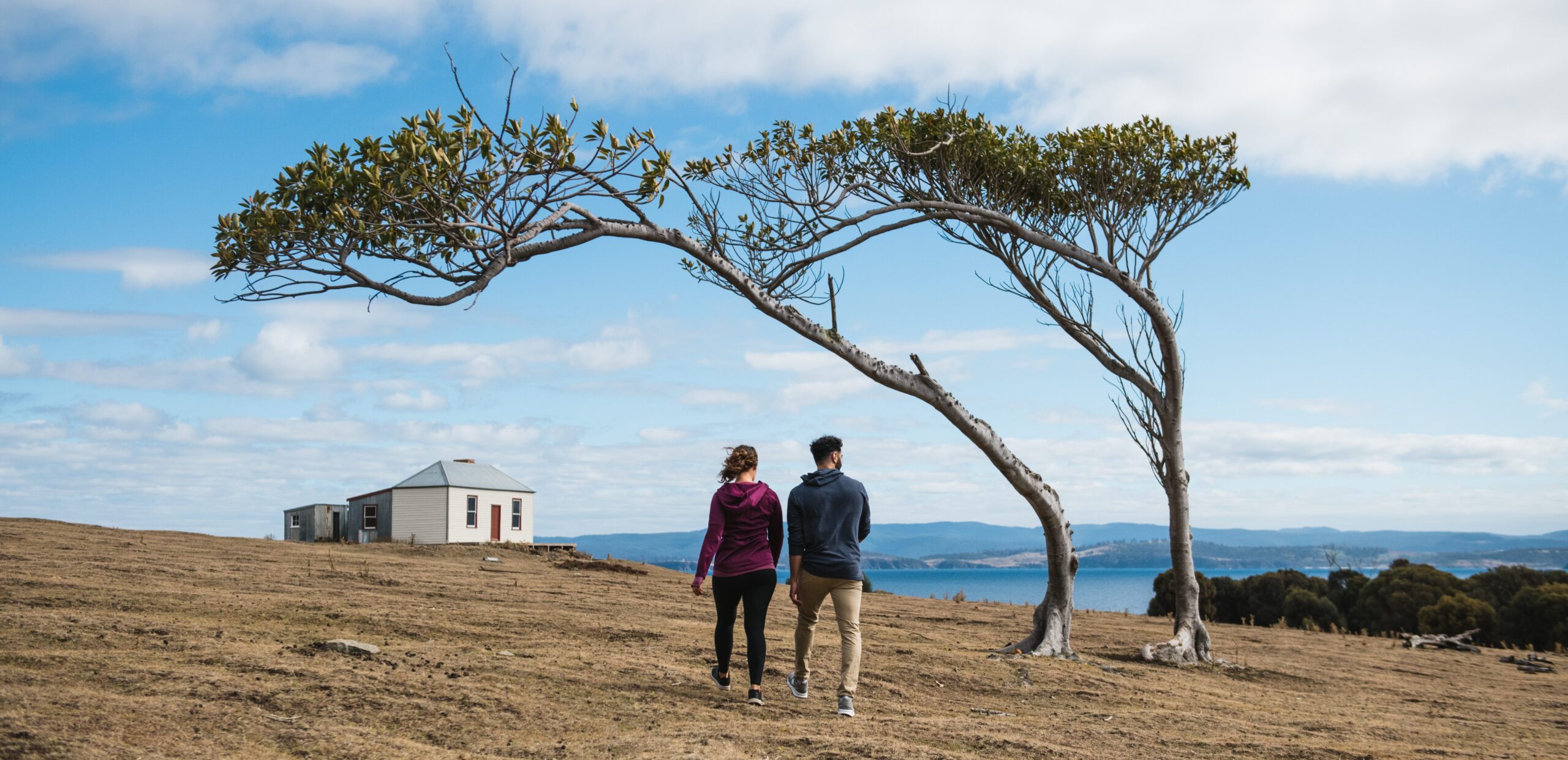 things to do in tasmania|gold coast hotels