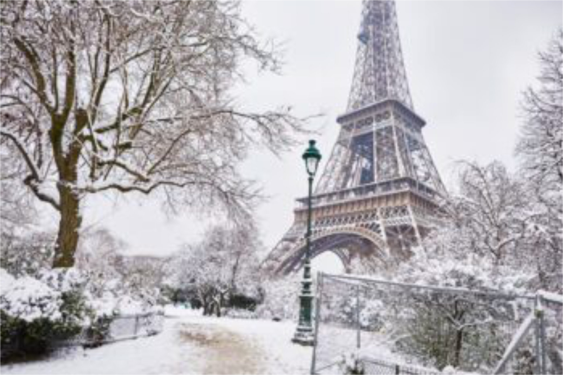 Paris in Winter: Experience the Magic of the City of Light 