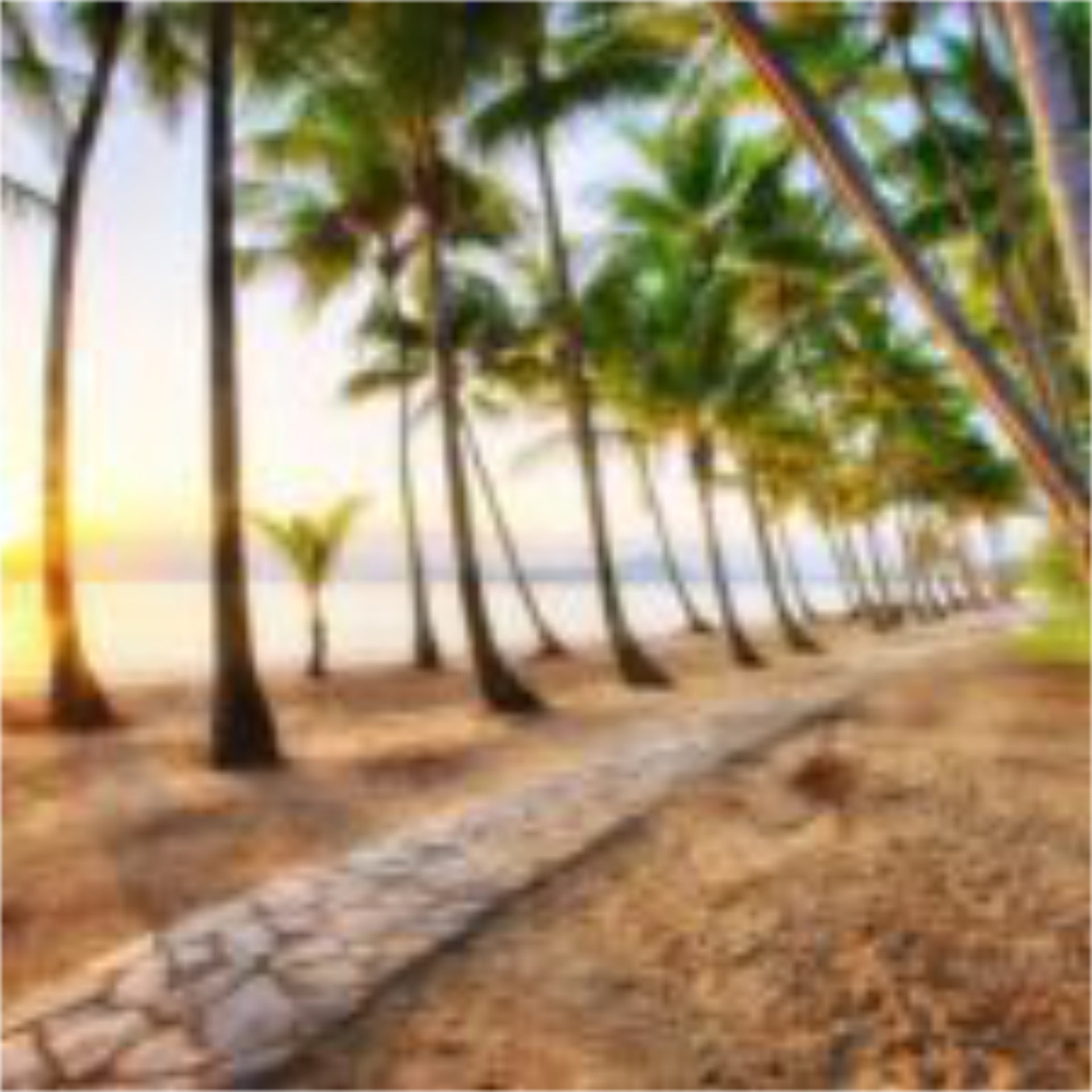Cairns' beachfront makes it easy to choose where to stay in Tropical North Queensland.