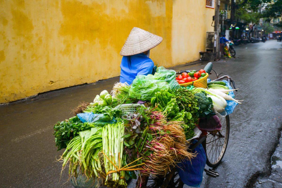 Streets of Hoi An – Luxury Escapes