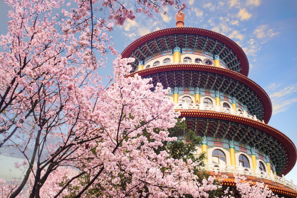 Cherry blossoms outside a temple in Taipei, Taiwan, one of the best places in the world to see cherry blossoms