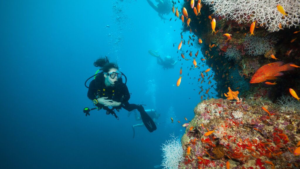 Scuba diver swimming past brightly coloured corals and neon orange sealife in the house reef at JA Manafaru - Dream by Luxury Escapes