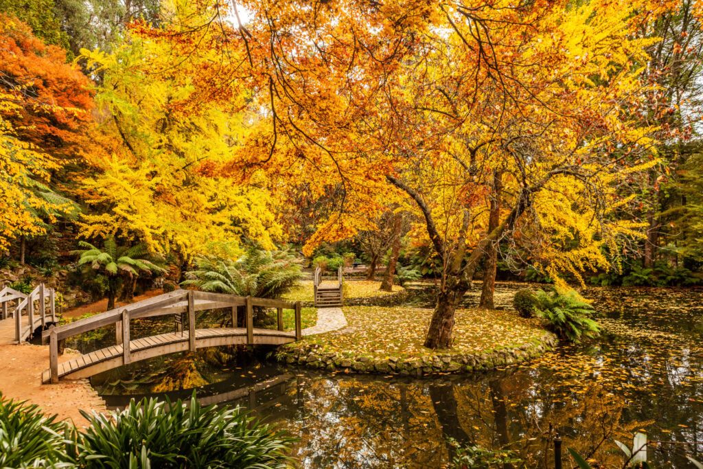 Dream by Luxury Escapes - Best Destinations in the World to See Autumn Leaves