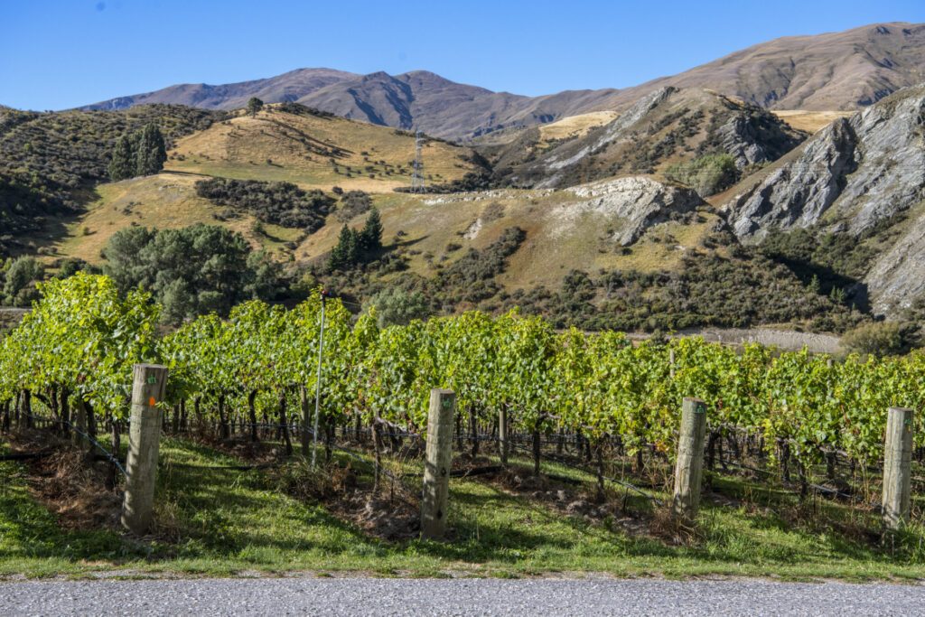 Dream by Luxury Escapes - Wow-Worthy Wonders on New Zealand’s South Island 