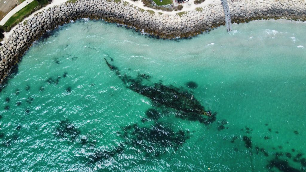 Omeo shipwreck at Coogee Beach, one of the best beaches within two hours of Perth - Luxury Escapes