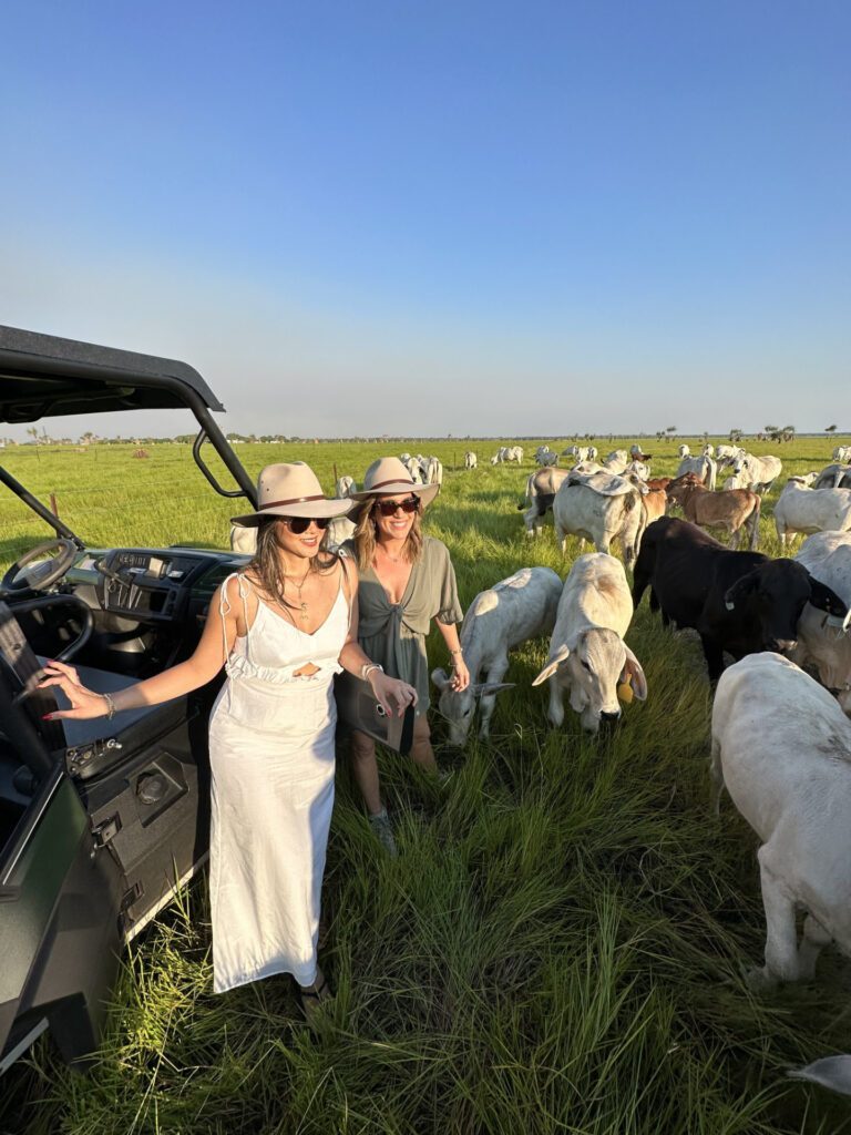 Dream by Luxury Escapes - 5 Things to Know About Australia’s Top End with Georgia Love, Diana Chan & Mitchell Burns