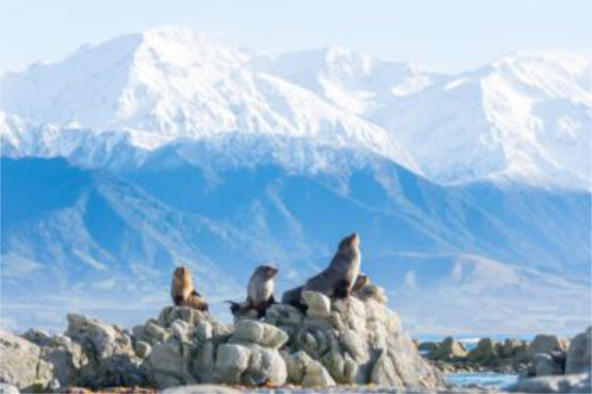 Wow-Worthy Wonders on New Zealand’s South Island 