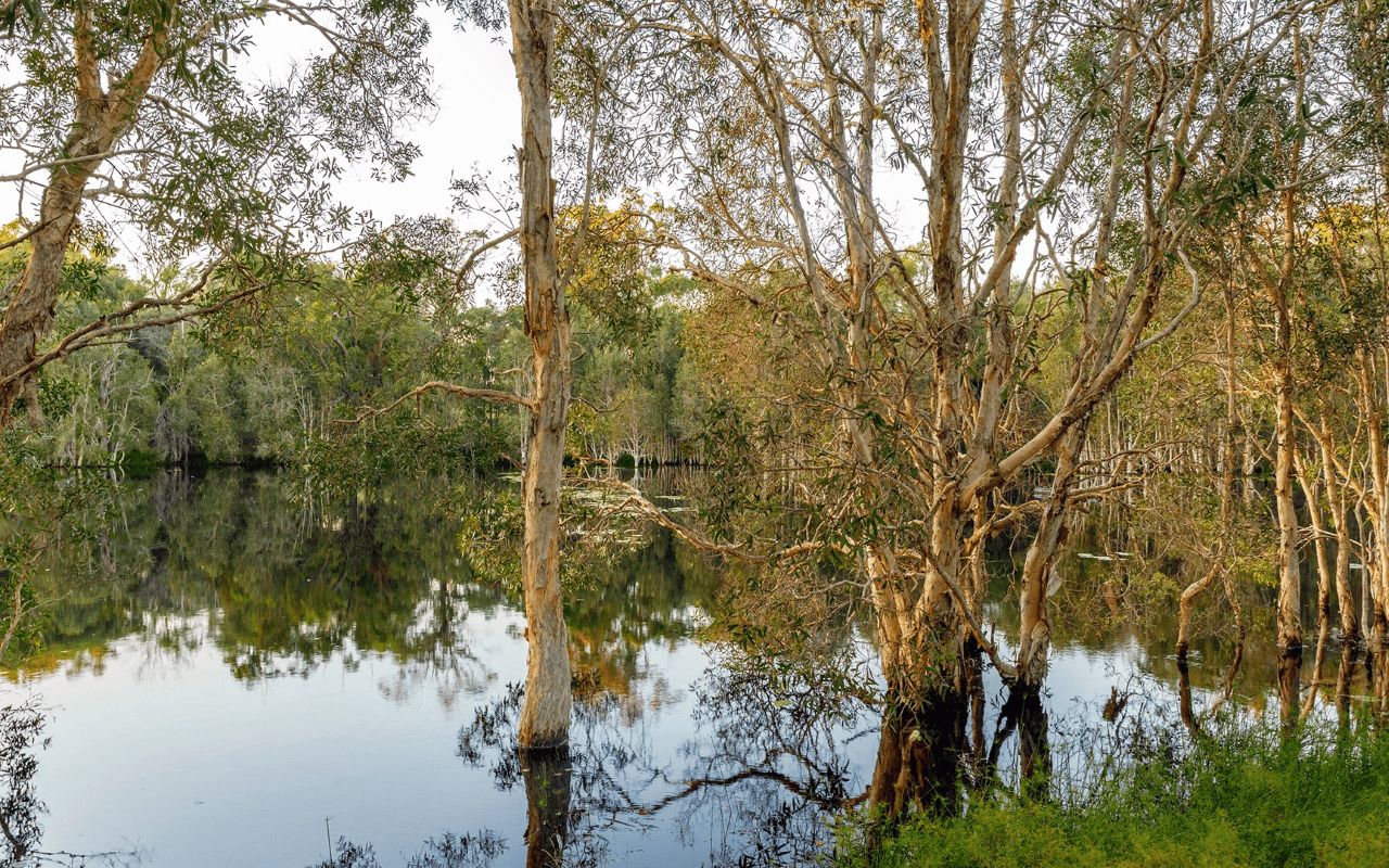 Dream by Luxury Escapes - Escape the City: Glamping at Mount Cotton, QLD 