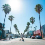 Los Angeles' famous palm tree boulevards - Luxury Escapes