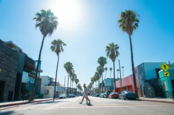 Los Angeles' famous palm tree boulevards - Luxury Escapes