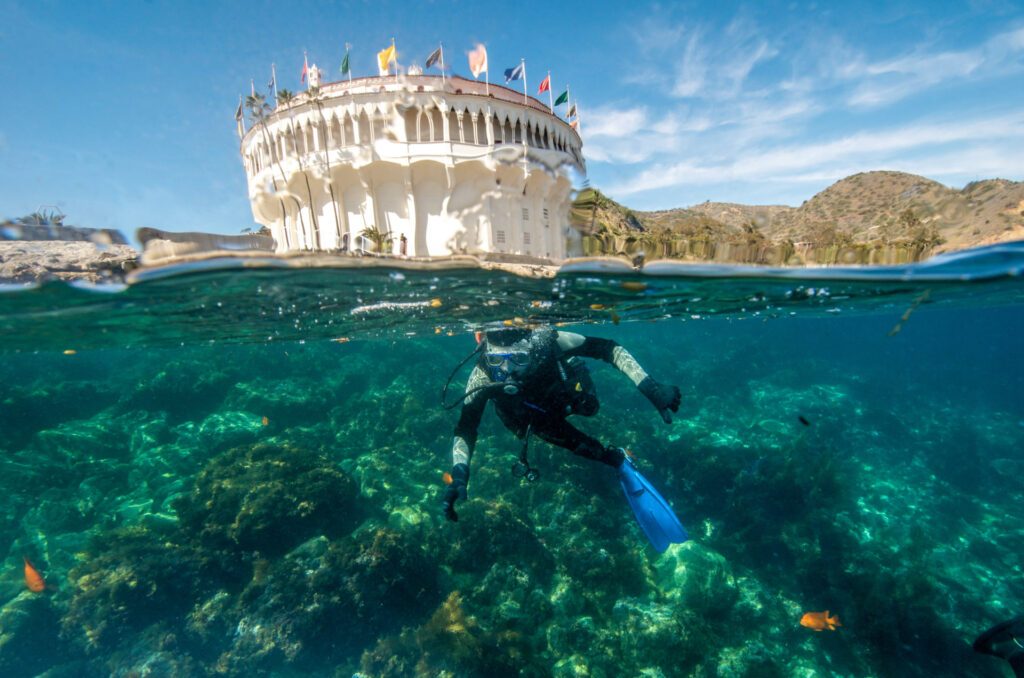 Scuba diving in California's Santa Catalina Island – Luxury Escapes