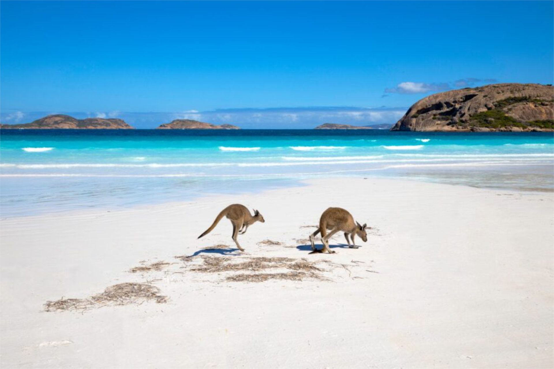 Destination Down Under: 10 Quintessential Australia Experiences  