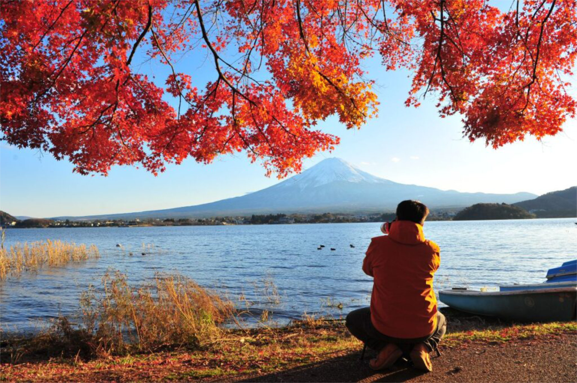 Autumn leaves frame majestic Mount Fuji, one of the best global destinations for solo travellers - Luxury Escapes