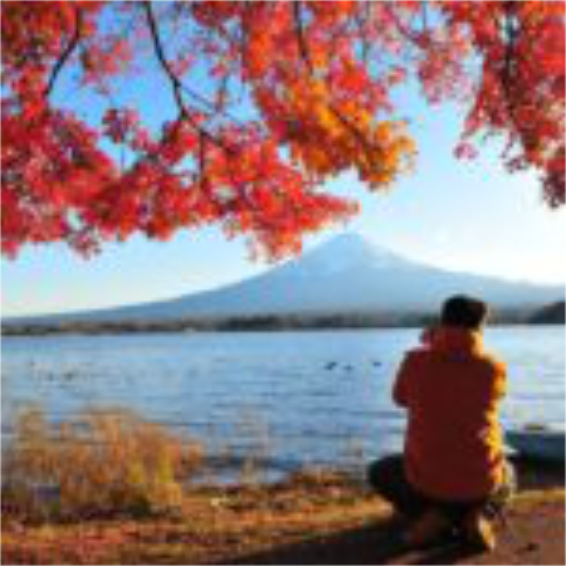 Autumn leaves frame majestic Mount Fuji, one of the best global destinations for solo travellers - Luxury Escapes