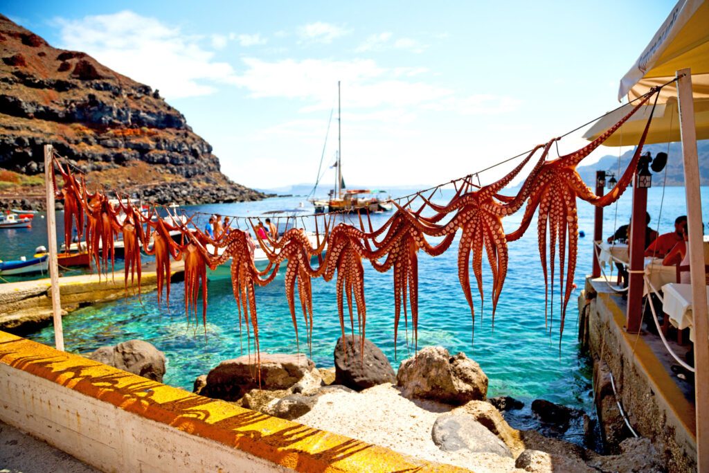 Fresh octopus hanging on the bay at Peloponnese Peninsula, one of Greece's best kept secrets