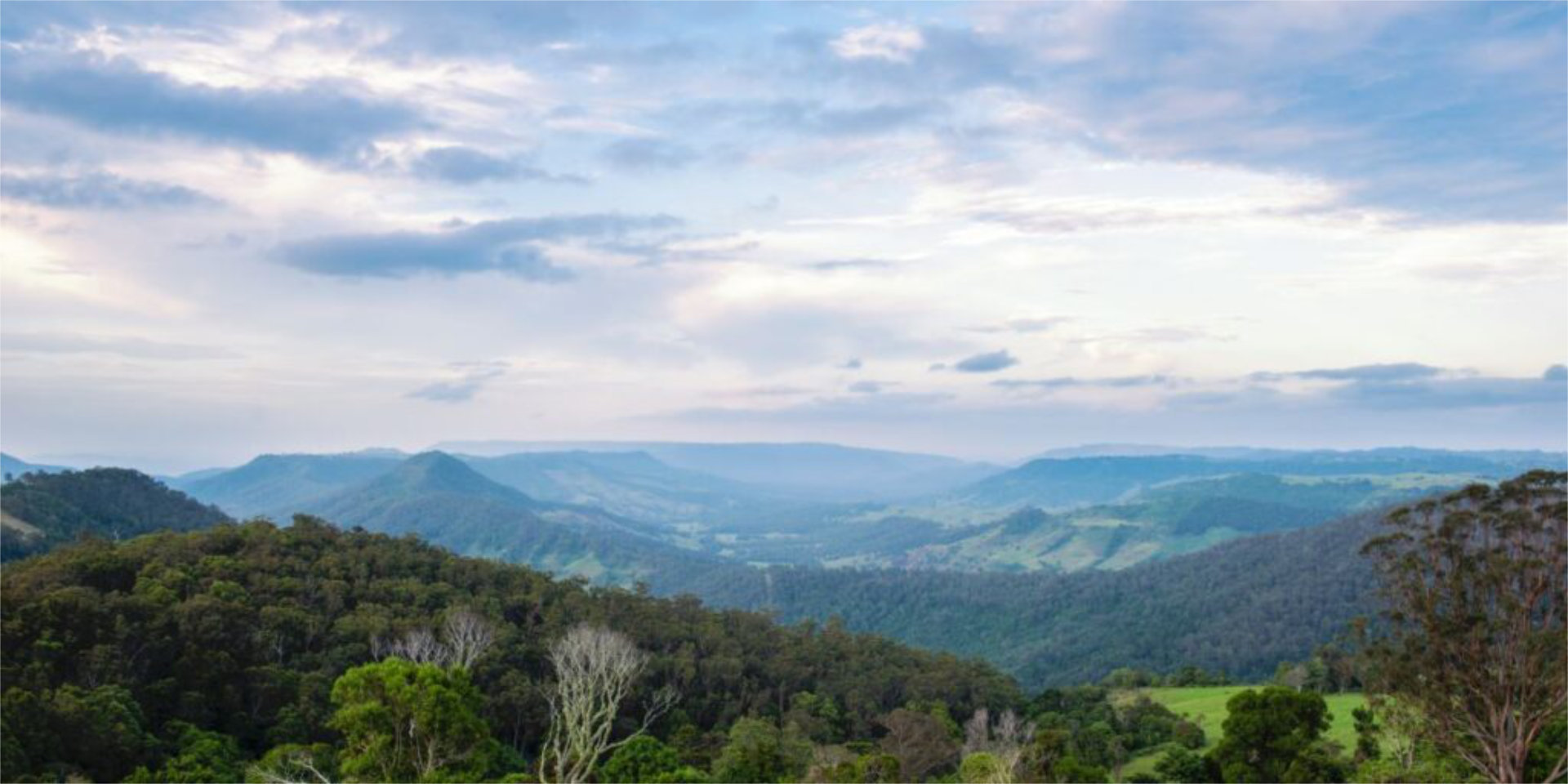 Experience the Gold Coast Hinterland: Everything You Need to Know 