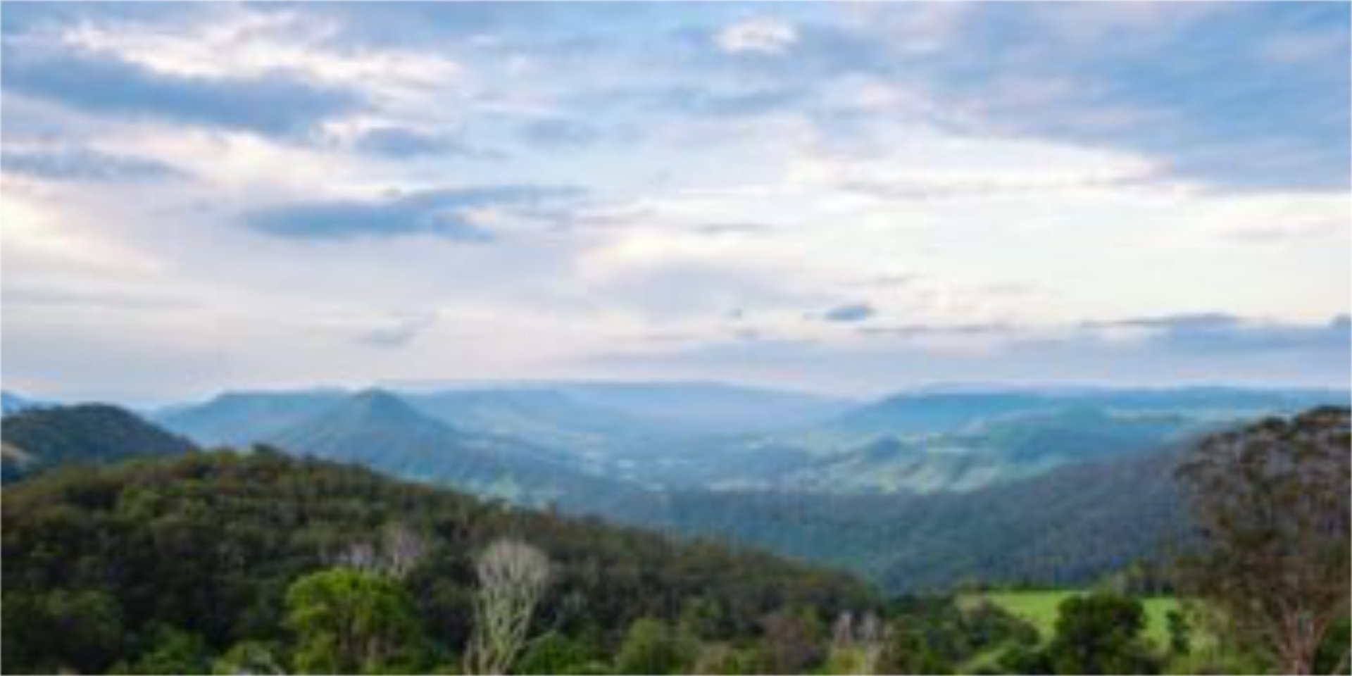 Experience the Gold Coast Hinterland: Everything You Need to Know 