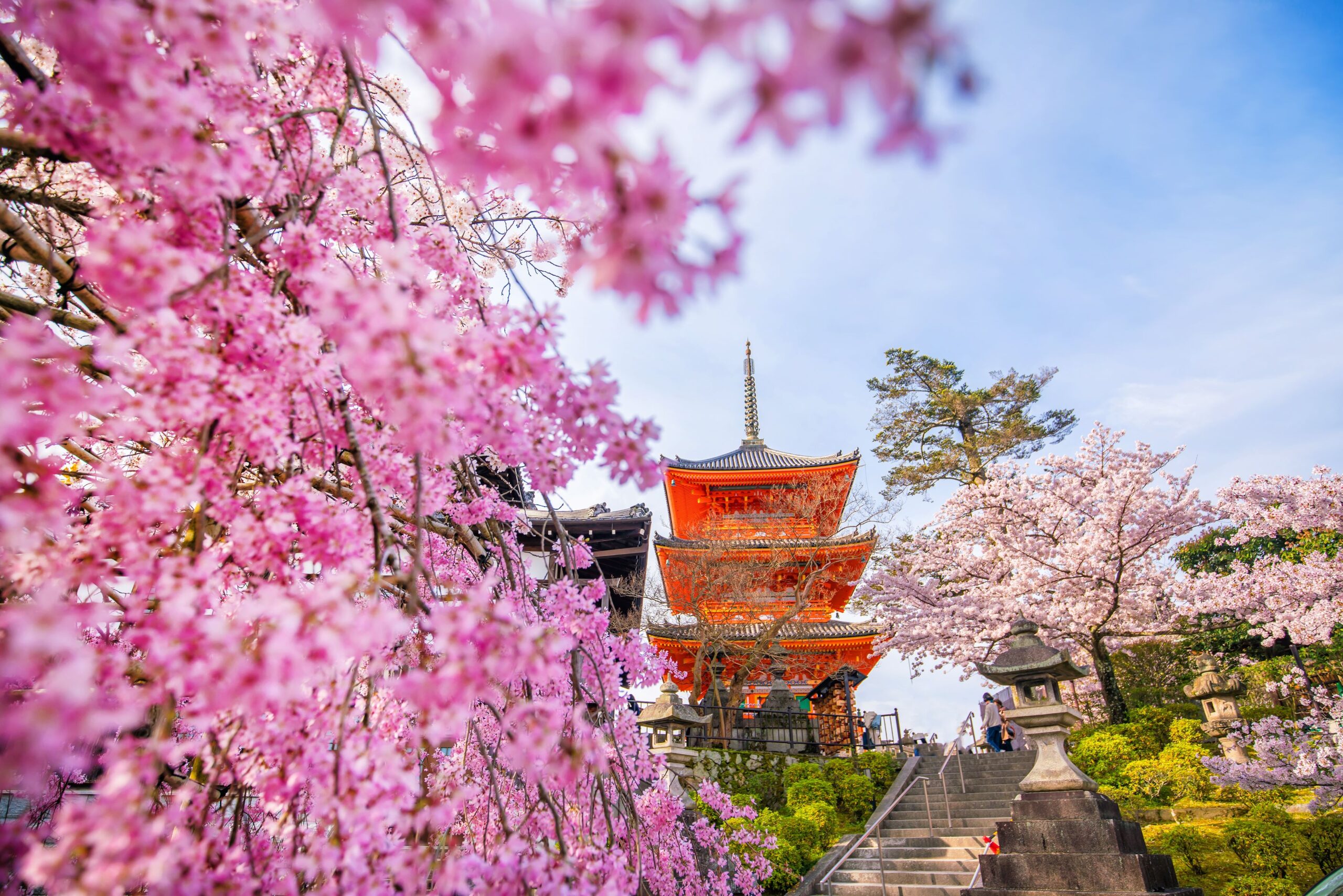 Seeing temples and cherry blossoms in Japan is a must-do experience while on tour in Japan - Luxury Escapes