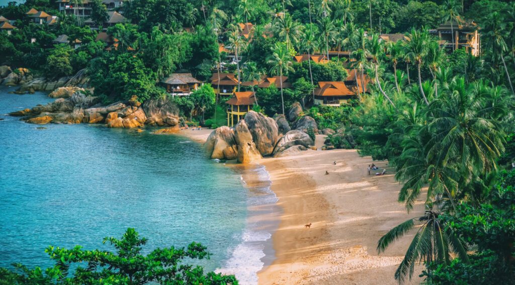 For the best holistic wellness and rainforests, head to Koh Samui in Thailand. 