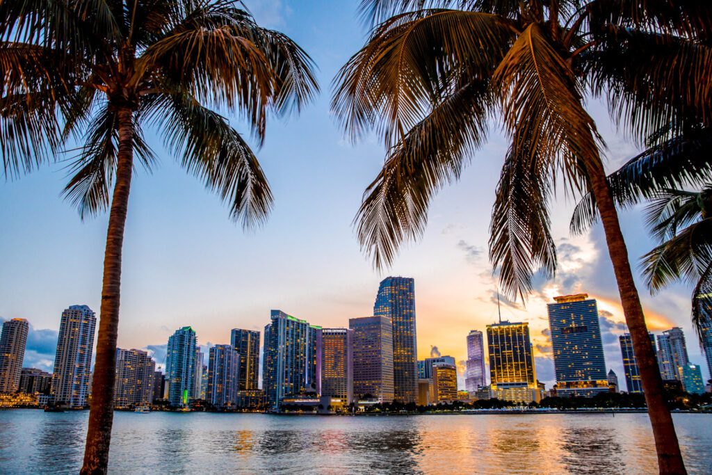 The view of two palm trees lining the banks of the Miami USA skyline at sunset - Luxury Escapes 