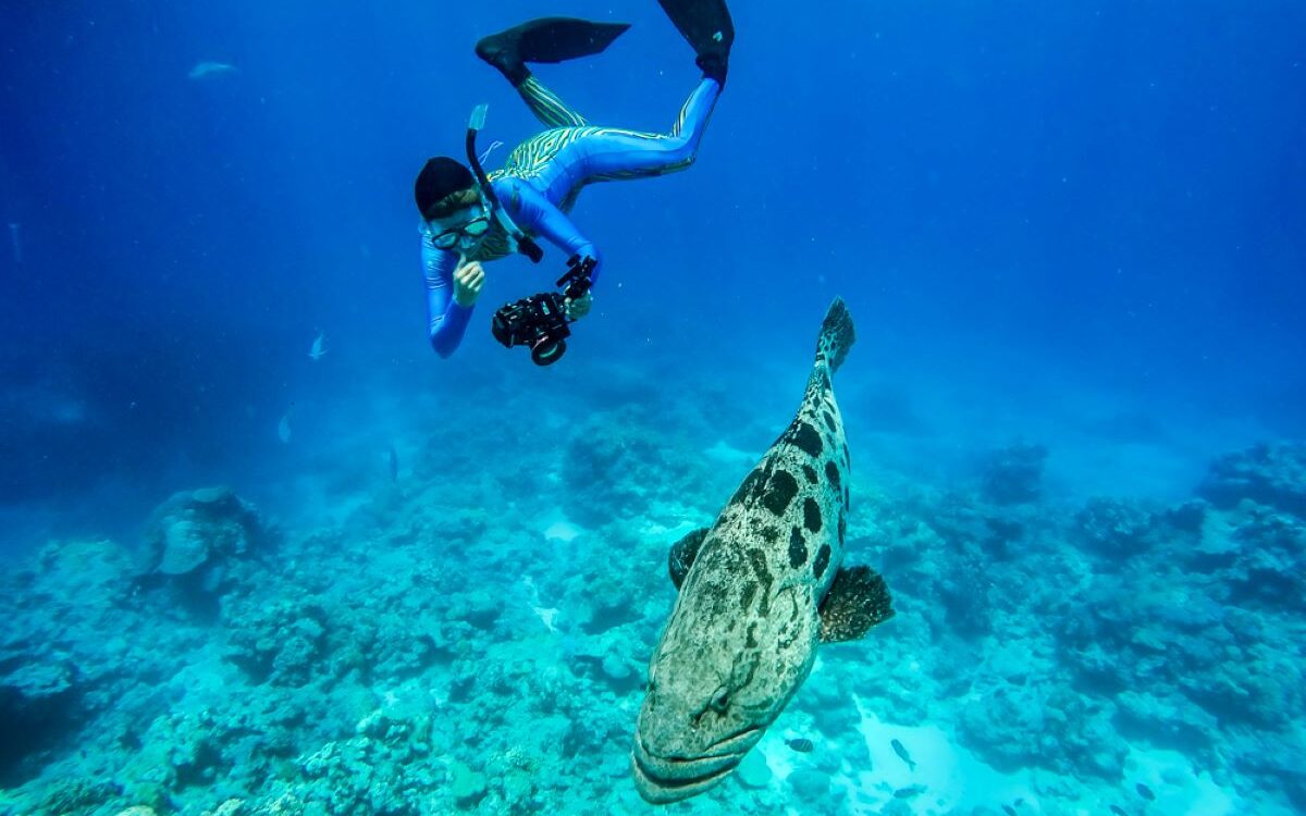 Snorkelling with vibrant fishes is just one of many activities to explore while on Lizard Island - Luxury Escapes