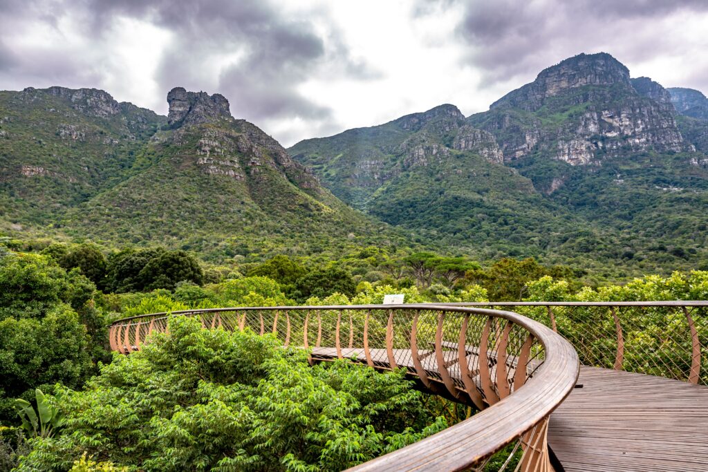 South Africa's spectacular Kirstenbosch National Botanical Gardens, a place to visit when you spend a week in Cape Town - Luxury Escapes