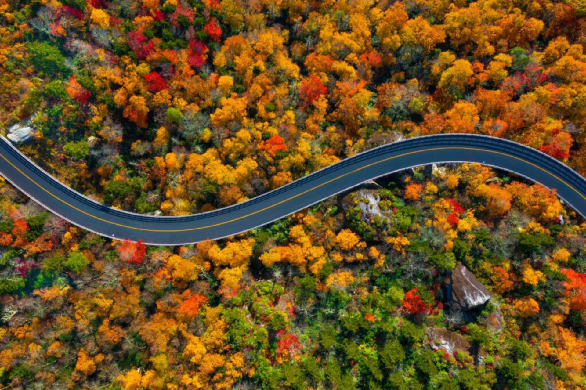 Ariel view of the USA road Blue Ridge Parkway winding between the autumn trees along the 5 most iconic USA road trips - Luxury Escapes