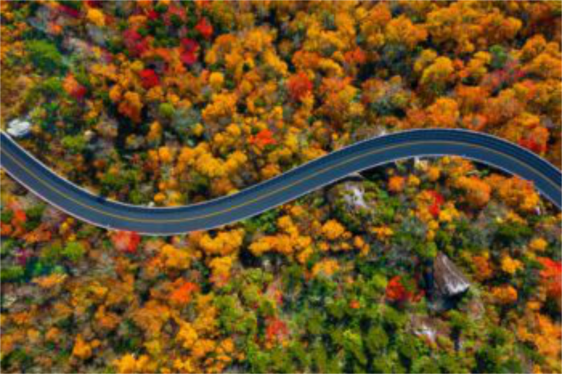 Ariel view of the USA road Blue Ridge Parkway winding between the autumn trees along the 5 most iconic USA road trips - Luxury Escapes