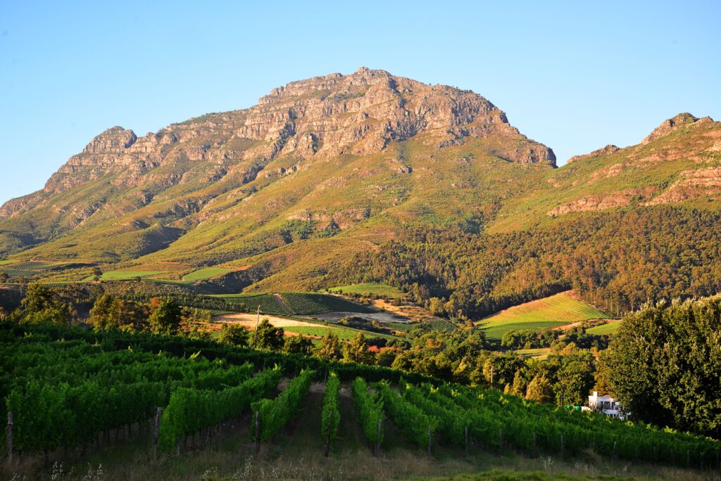Cape Winelands, where Franschhoek valley wine tasting is just a short trip out of Cape Town, South Africa, a place to visit when you spend a week in Cape Town - Luxury Escapes